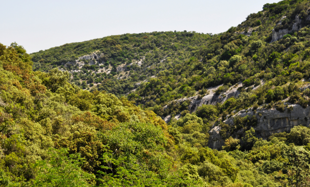 Colline provence